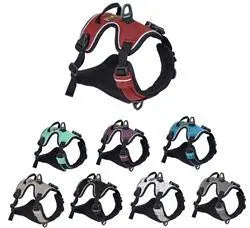 Alpine Reflective Harness Dog