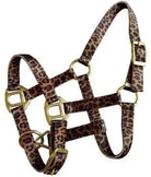 Foal/Mini size Premium nylon cheetah halter with brass hardware. Horse