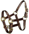 Foal/Mini size Premium nylon cheetah halter with brass hardware.