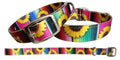 Serape & Sunflower designed nylon dog collar