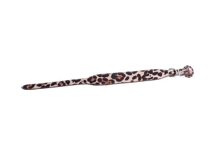 Leather Dog Collar Leopard Print Dog