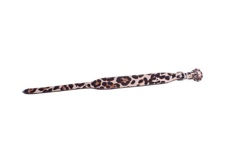 Leather Dog Collar Leopard Print - KP Pet Supply