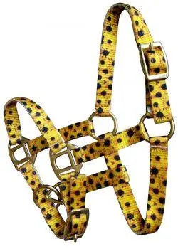 Foal/Mini size Premium nylon sunflower halter with brass hardware Horse
