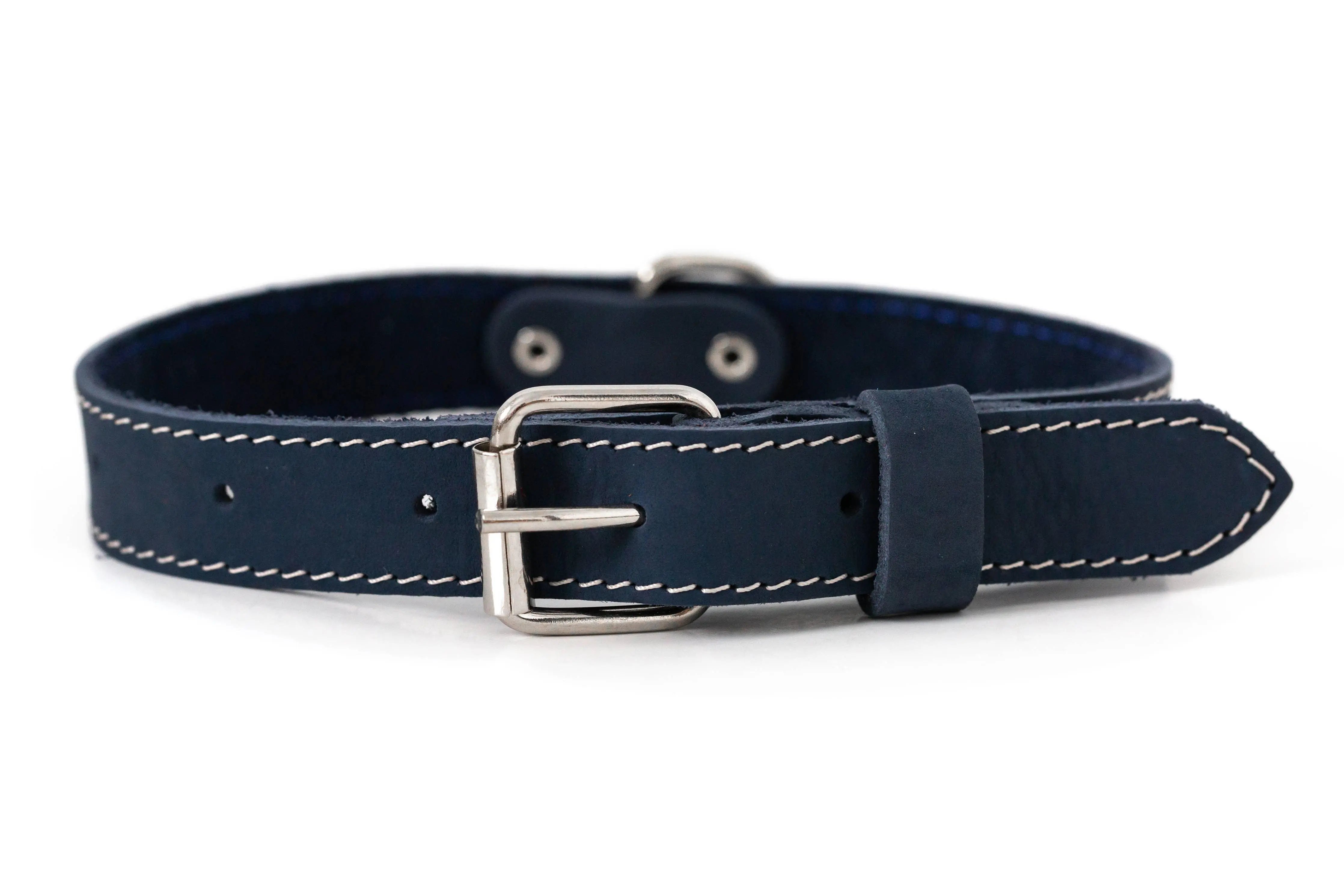 Euro-Dog Collar - Navy Dog