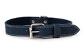 Euro-Dog Collar - Navy