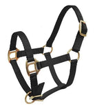 Foal mini size black nylon horse halter with gold brass hardware