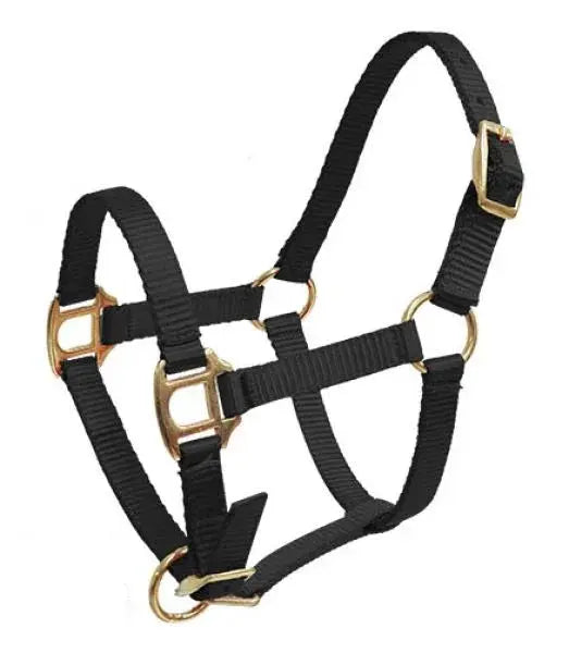 Foal mini size black nylon horse halter with gold brass hardware