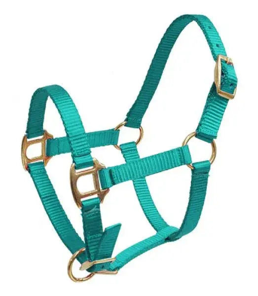Teal woven nylon foal mini halter with gold brass hardware