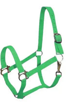 Double Ply Horse size turnout nylon halter with snap. Horse