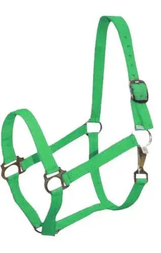 Double Ply Horse size turnout nylon halter with snap. Horse