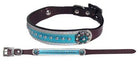 Leather Dog Collar with Metallic Teal Overlay Dog
