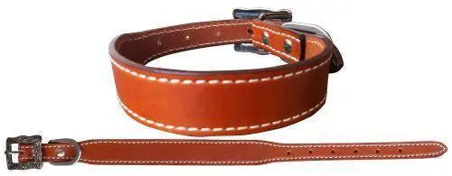 Genuine medium oil leather dog collar Dog