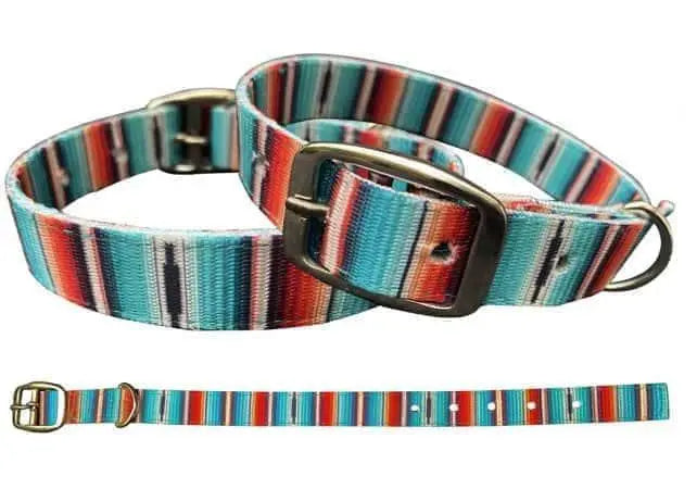 Teal serape southwest multicolored striped nylon dog collar with buckle and leash