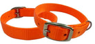 Orange nylon dog collar. Dog