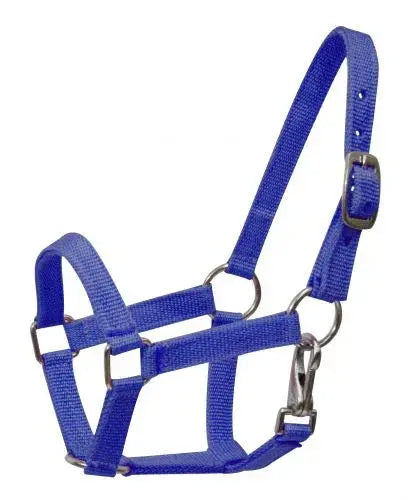 Nylon halter with nickel plated hardware and throat latch. Mini size. Horse