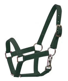 Nylon halter with nickel plated hardware and throat latch. Mini size. Horse