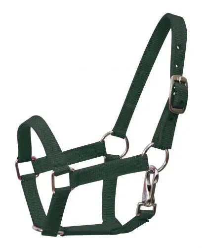 Nylon halter with nickel plated hardware and throat latch. Mini size. Horse