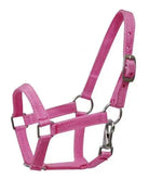 Nylon halter with nickel plated hardware and throat latch. Mini size. Horse