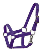 Nylon halter with nickel plated hardware and throat latch. Mini size. Horse
