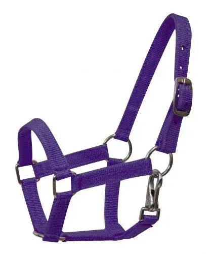 Nylon halter with nickel plated hardware and throat latch. Mini size. Horse