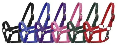 Nylon halter with nickel plated hardware and throat latch. Mini size. Horse