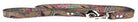 Paisley Patterned Collars Dog