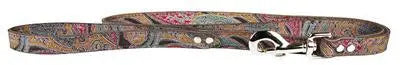 Paisley Patterned Collars Dog