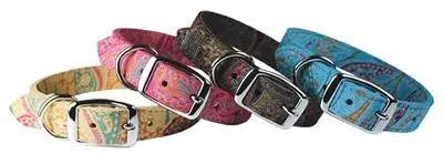 Paisley Patterned Collars Dog