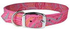 Paisley Patterned Collars Dog