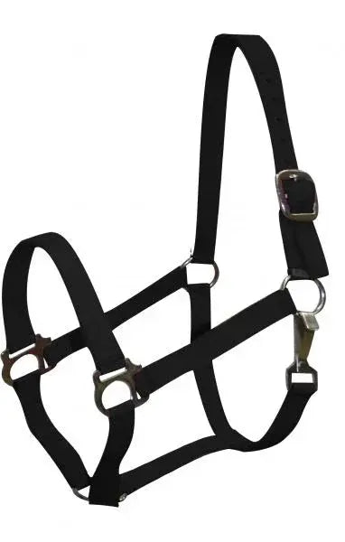 Double Ply Horse size turnout nylon halter with snap. Horse