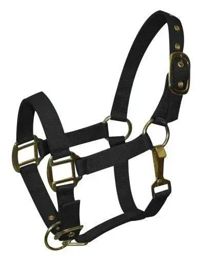Pony size nylon halter is constructed of triple ply nylon with brass hardware Horse