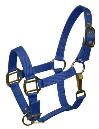 Pony size nylon halter is constructed of triple ply nylon with brass hardware Horse