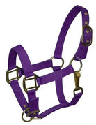 Pony size nylon halter is constructed of triple ply nylon with brass hardware Horse