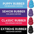 Kong Senior Dog