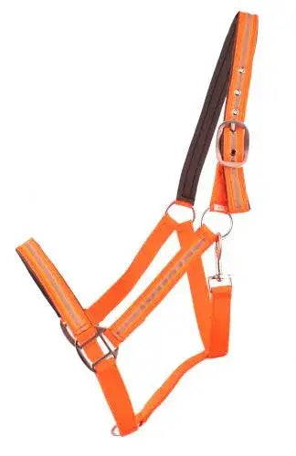 Full Horse Size Reflective Neoprene Lined Halter Horse Tack