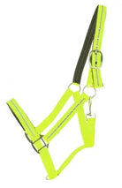 Full Horse Size Reflective Neoprene Lined Halter Horse Tack