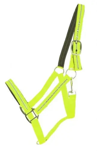 Full Horse Size Reflective Neoprene Lined Halter Horse Tack