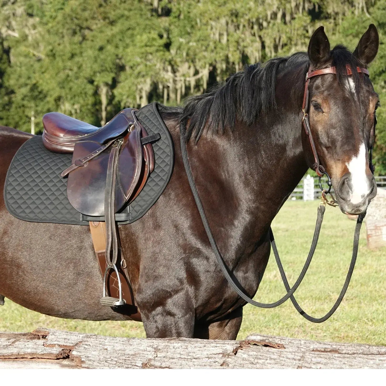 Brown horse with white blaze wearing Benefab black therapeutic saddle pad