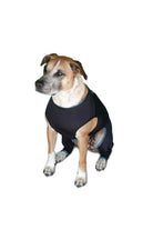 Benefab Canine Comfort Suit Dog