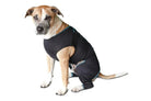 Benefab Canine Comfort Suit Dog