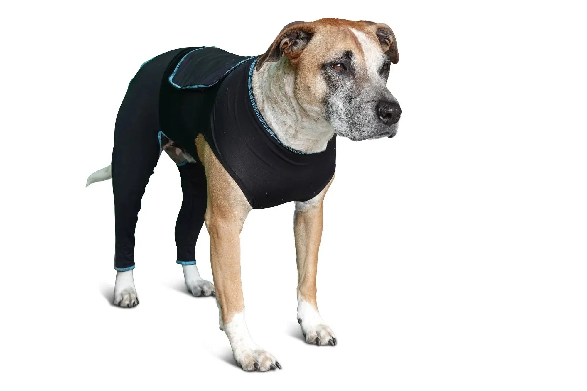 Benefab Canine Comfort Suit Dog