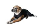 Benefab Canine Comfort Suit Dog