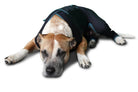 Benefab Canine Comfort Suit Dog