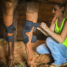 Benefab REJUVENATE SMART HOCK BOOTS Horse