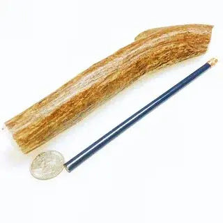 Moose Antler Dog Chew - Moose Stick Medium Dog