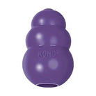 Kong Senior Dog