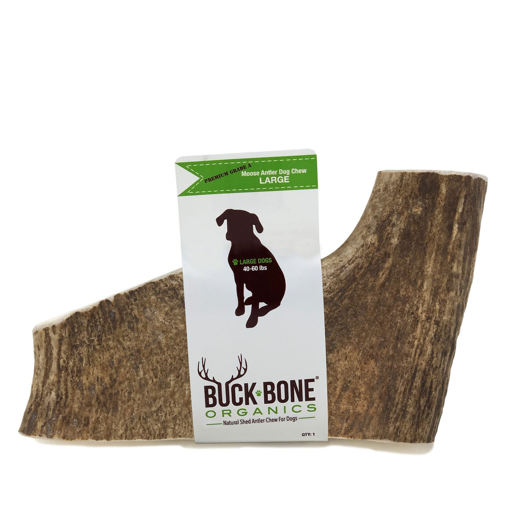 Buck Bone Moose Antler Dog Chew - Medium or Large - KP Pet Supply