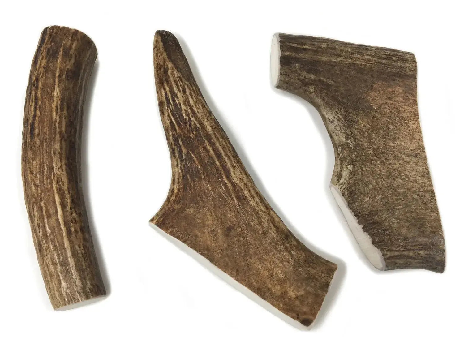 Buck Bone Moose Antler Dog Chew - Medium or Large Dog