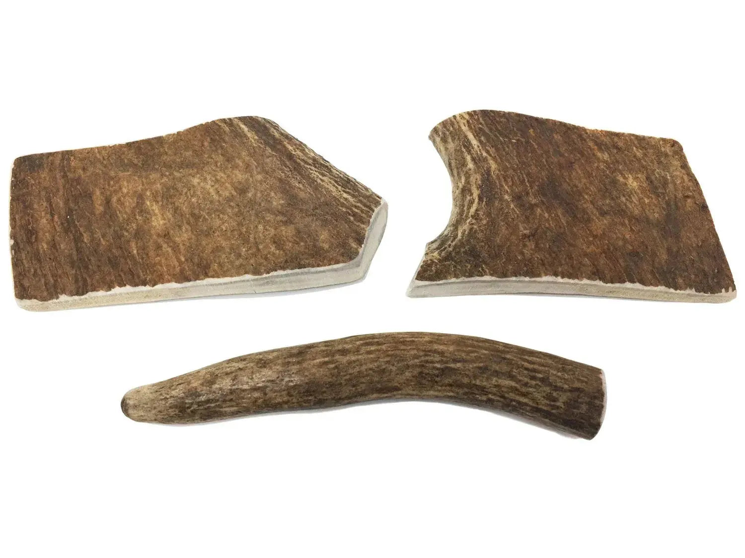 Buck Bone Moose Antler Dog Chew - Medium or Large Dog