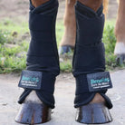 BeneFab Therapeutic Smart QuickWraps Front or Hind Horse
